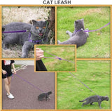 AMAGOOD 6 FT Puppy/Dog Leash, Strong and Durable Traditional Style Leash with Easy to Use Collar Hook,Dog Lead Great for Small and Medium and Large Dog (5/8 in x 6 ft, Black and Purple(2-Pack))
