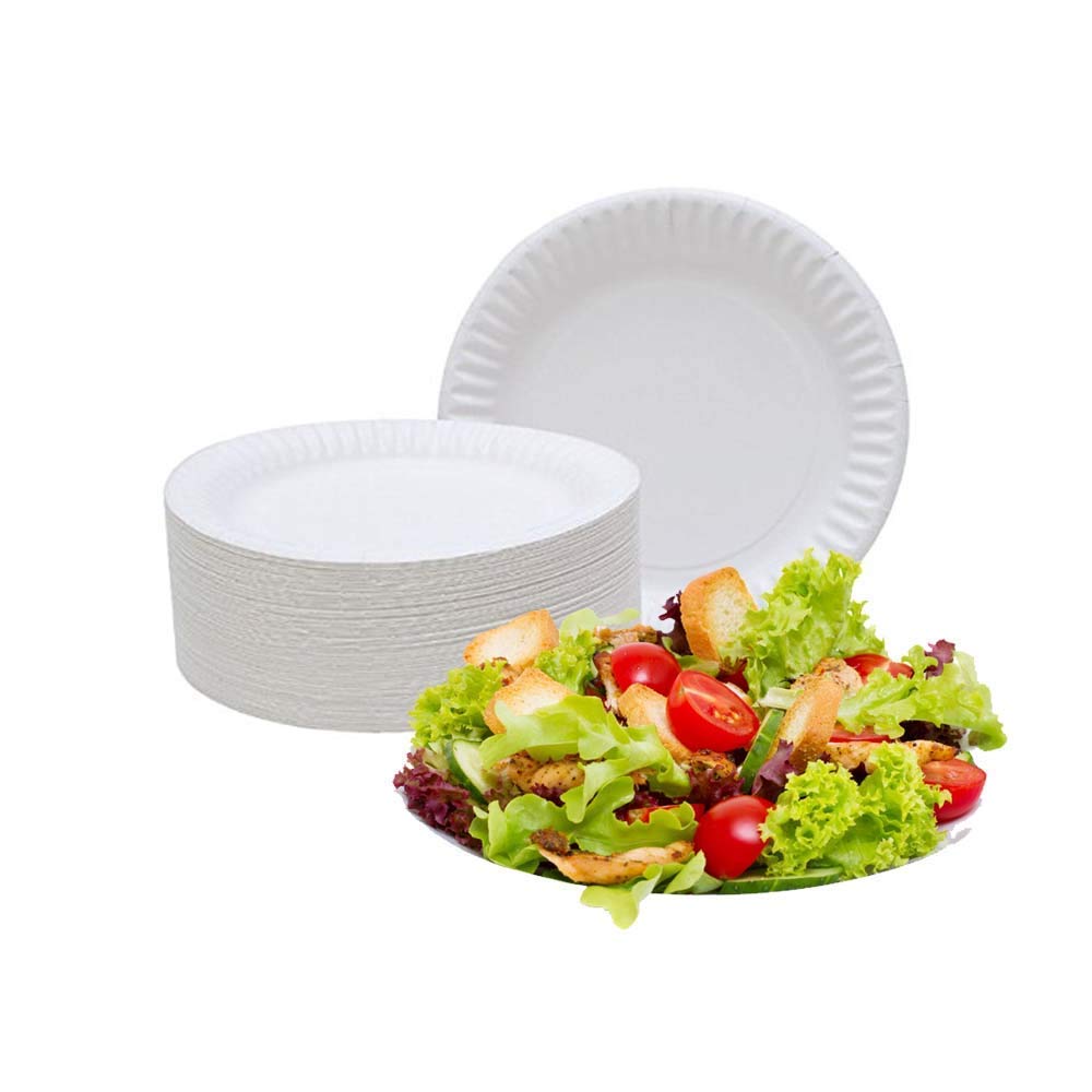 Spa Stix 6" Disposable Paper Plate - Pack of 500ct (Model: SS-Paper Plate 6-500)