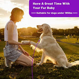 Dog Tie Out Cable 10/15/20/25/30 FT Dog Runner for Yard Steel Wire Dog Cable with Durable Superior Clips Purple Dog Chains for Outside Dog Lead for Large Dogs Up to 165 lbs