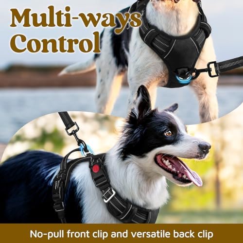 rabbitgoo Dog Harness for Large Dogs, No Pull Pet Vest with 3 Buckles, Adjustable Soft Padded Pet Harness with Easy Control Handle and Reflective Strips, Black, XL