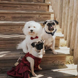 Burgundy Dog Dress, Wedding Dog Dress, Dog Flower Girl Dress, The Eloise, Wine and Copper Wedding Dog Dress, Dog Clothes (XXX-Large (28-40 lbs))