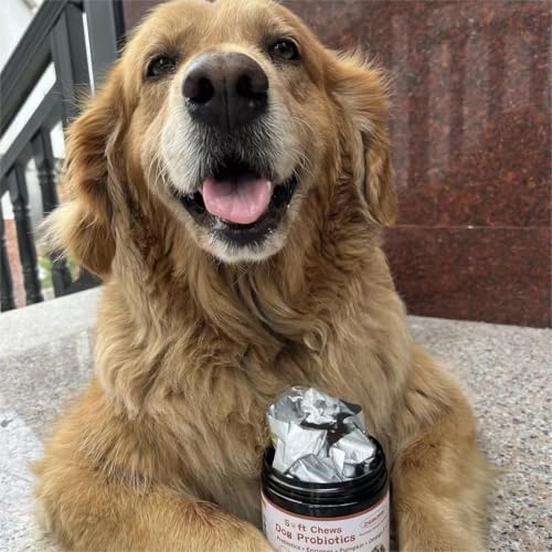 Probiotics for Dogs, Dog Probiotics for Digestive Health, Plus Pumpkin and Fish Oil, for Gut & Itchy, 120 Soft Chews