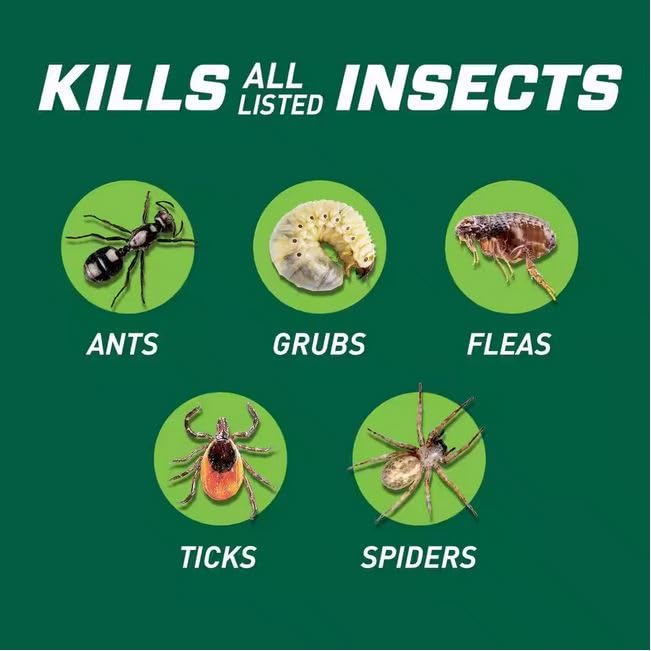 ORTHO Bug B-gon Lawn Insect Killer for Above and Below The Ground - 20 lbs.
