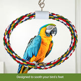 JW Pet Swing N' Perch, Large