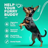 Probiotics for Dogs Gut Health, Digestion, Immunity, Yeast Balance, Itchy Skin, Allergies Support - Dog Probiotic Chews with Digestive Enzymes for Gut Flora- Soft Treats with Pumpkin and Yeast Powder