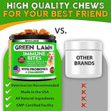 FURALAND Grass Burn Spot Chews for Dogs - Dog Pee Lawn Spot Saver Caused by Dog Urine - Grass Treatment Rocks - DL-Methionine + Digestive Enzymes - Dog Urine Neutralizer for Lawn - Soft Treats