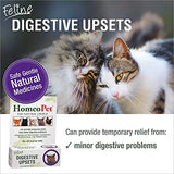 HomeoPet Feline Digestive Upsets, Natural Cat Digestive Support, Digestive Supplement for Cats, 15 Milliliters