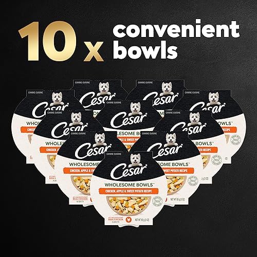CESAR WHOLESOME BOWLS Adult Soft Wet Dog Food Chicken, Apple & Sweet Potato Recipe, (10) 3 oz. Bowls
