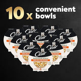 CESAR WHOLESOME BOWLS Adult Soft Wet Dog Food Chicken, Apple & Sweet Potato Recipe, (10) 3 oz. Bowls