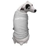 Kentucky - State University Sports Dog Shirt (Light Gray, Medium)