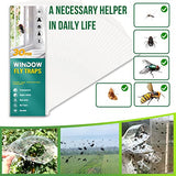 30 Pack Fruit Fly Traps Indoor, Non-Toxic Window Fly Trap Catcher Clear Trap for Home, Flies Traps Kitchen, Paper Sticky Strips, Flying Insect Traps for Bugs Mosquito Gnat, Lady Bug Killer Traps