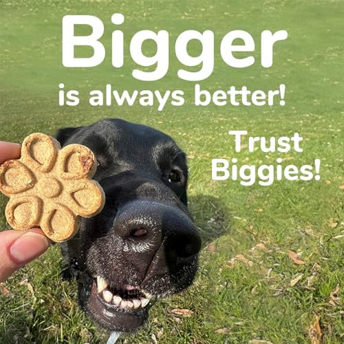Fruitables Biggies Dog Biscuits – Crunchy Dog Biscuits Made with Pumpkin – Healthy Dog Treats Packed with Real Fruit Flavor – Free of Wheat, Corn and Soy – Pumpkin & Blueberry – 16 oz