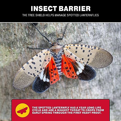 Catchmaster Tree Shield Lantern Fly & Ant Traps Insect Barrier, 12 Rolls 30ft Each, Outdoor Adhesive Crawling Insect Trap, Glue Traps to Protect Trees, Fruit & Plants, Pest Control Lawn & Garden