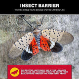 Catchmaster Tree Shield Lantern Fly & Ant Traps Insect Barrier, 12 Rolls 30ft Each, Outdoor Adhesive Crawling Insect Trap, Glue Traps to Protect Trees, Fruit & Plants, Pest Control Lawn & Garden