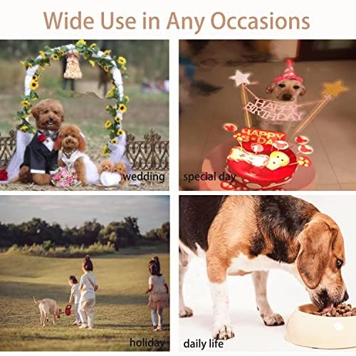 Pet Dresses for Small Dogs Cats Girl, Cute Princess Bowknot Dress Puppy Shirt All Weather Skirt Clothes Cat Apparel for Birthday Wedding Party Holiday (Grey&Black, Large)