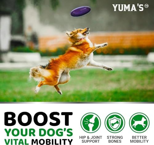 (2 Pack) Glucosamine for Dogs - Hip and Joint Supplement for Dogs - Glucosamine Chondroitin Chews - Joint Pain Relief Supplement with MSM - Advanced Health - Mobility Support - Made in USA