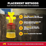 Catchmaster Yellow Jacket, Hornet, & Wasp Trap Jar Bait Refill 2-Pk, Reusable Bug Catcher Attractant, Outdoor Flying Insect Trap, Wasp Killer Bug Trap, Pet Safe Pest Control for Backyard & Patio