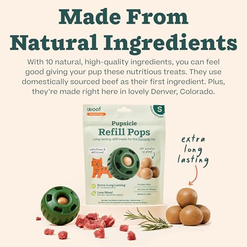 WOOF Pupsicle Refill Pops - Low-Mess Dog Snacks - with Peanut Butter and Beef - Dog Treats - Long Lasting - Small Pops - 10 Count - 2 Pack