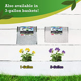 Digger’s 1-Gallon Heavy-Duty Wire Basket - Gopher Wire Basket for Perennials & Vegetables (12 Baskets)