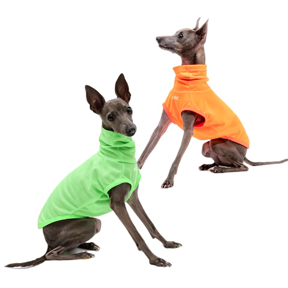 Italian Greyhound Clothes, Lightweight & Breathable Sun Protection Tank Tops for Italian Greyhound and Whippets Dogs (Green, X-Small)