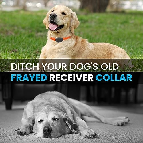 3/4" Nylon Replacement Collar - Shock Collar Replacement Collar, Fence Collar Replacement, Compatible with Pet Safe & Invisible Fence & Fits Most PetSafe Collars (3/4" Black)