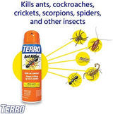 TERRO T401SR Indoor and Outdoor Ant Killer Aerosol Spray - Kills Ants, Cockroaches, Crickets, Scorpions, Spiders, and Other Insects - 2 Pack 32 Total Ounces