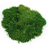Galápagos (05248) Sheets of Real Moss, 8-Quart, Natural,Green