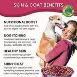 Olewo Original Red Beets for Dogs – Natural Dog Anti Itch, Dog Food Topper, Skin & Coat Support – Dehydrated Vegetables for Dogs, Dog Supplements & Vitamins, Toppers for Dogs, Fiber for Dogs, 5.5 lbs