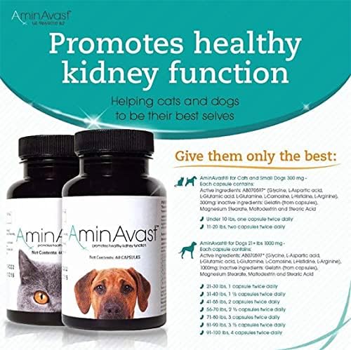 Small Dogs & Cat Kidney Support - Promotes Health Kidney Support in Cats & Small Dogs - 300mg, 60 Capsule