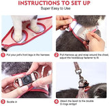 Cat Harness and Leash Set, Soft and Breathable Vest with Reflective Strip, Escape Proof Kitten Harness, Easy to Wear for Cats Walking and Traveling (Black, M)