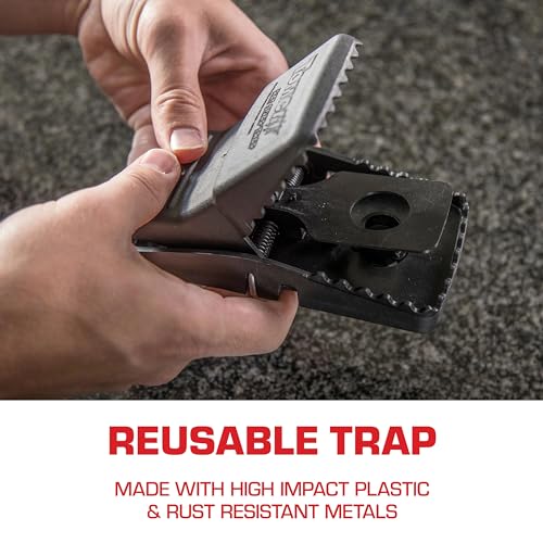 TOMCAT Rat Snap Trap, 1 Rat Size Trap - Reusable - Effectively Kill Rats - Ideal for Home and Farm Use