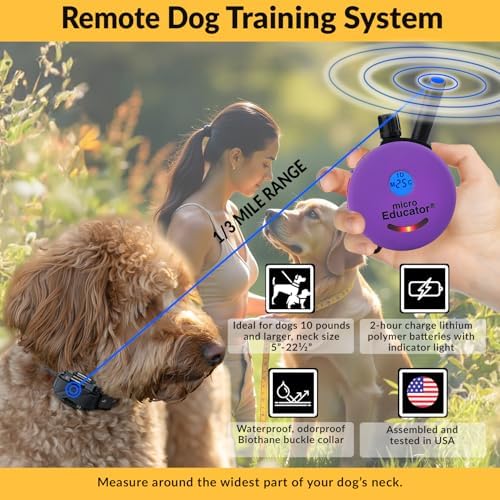 Educator E-Collar Humane Dog Training Collar with Remote, 100 Safe Tapping Stimulation Levels, Night Light, Waterproof, Rechargeable, 1/3 Mile 1 Small Dog, Purple