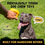 Indestructible Ring Ball - Lifetime Replacement - Strong, Tough, Aggressive Chewers, Medium Large Breed - Non-Toxic Natural Rubber Dog Toys - Yellow - Tug & Fetch - 8x1.75
