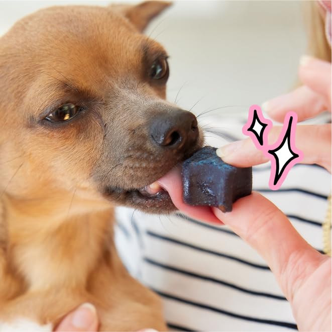 Spot & Tango PupGum Dog Dental Chews for Fresh Breath & Teeth Cleaning – Clinically Proven Plaque & Tartar Control – Human-Grade, Vet-Developed Daily Dental Care Treats for Dogs 5-15lbs – Made in USA