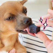 Load image into Gallery viewer, Spot &amp; Tango PupGum Dog Dental Chews for Fresh Breath &amp; Teeth Cleaning – Clinically Proven Plaque &amp; Tartar Control – Human-Grade, Vet-Developed Daily Dental Care Treats for Dogs 5-15lbs – Made in USA
