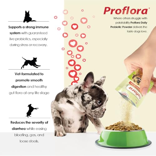Proflora Probiotics for Dogs-Complete Gut Health & Immune Support. Easy to Use Digestive Multi-Strain Probiotics. Easier Diet Transitions, Healthier Skin & Coat & Helps Treat Diarrhea. 30 Packets.