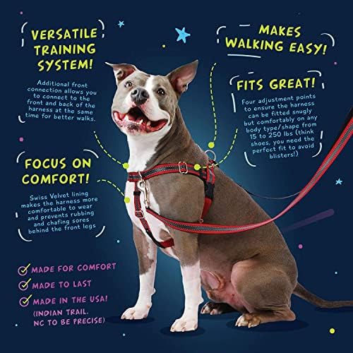 2 Hounds Design Freedom No Pull Dog Harness, Adjustable Harness and Leash Set, Easy Walking & Comfortable Control, Fits Small, Medium & Large Dogs, Solid Colors, Made in USA, 1" MD, Kelly Green