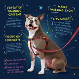2 Hounds Design Freedom No Pull Dog Harness, Adjustable Harness and Leash Set, Easy Walking & Comfortable Control, Fits Small, Medium & Large Dogs, Solid Colors, Made in USA, 1" MD, Kelly Green