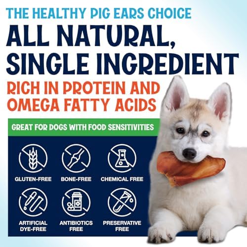 Whole Pig Ears for Dogs Large - 6 Pack Long Lasting Dog Chews – One Ingredient Delicious All Natural Flavor – Easy to Digest Dog Treats for Large Dogs - Great for Teeth and Gums