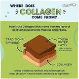 Pawstruck All Natural 11-12" Roasted Collagen Sticks for Dogs – Low Odor & Long-Lasting Bully Stick & Rawhide Alternative, Single Ingredient, Vet Approved – 5 Pack