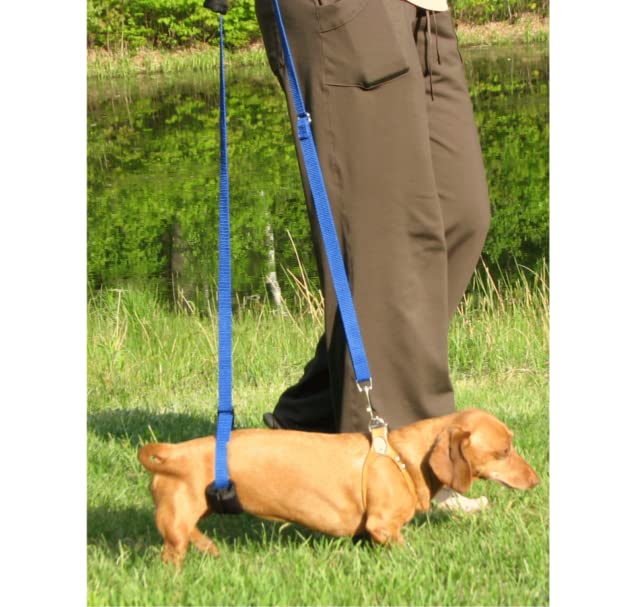 GINGERLEAD Dog Support Sling Harness, X-Small Fits Little Pets Under 25 lbs or Dachshunds with IVDD, Spinal Disc Disease, or Back Injuries. Assist Old or Recovering Pets. Chest Harness NOT Included.