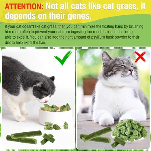 100g/3.52oz Cat Grass Treats, Cat Grass Teething Stick for Hairball Remove and Teeth Cleaning, Edible Cat Grass Stick Snack