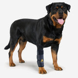 Agon® Dog Canine Front Leg Brace Paw Compression Wraps with Protects Wounds Brace Heals and Prevents Injuries and Sprains Helps with Loss of Stability Caused by Arthritis (Large/X-Large)
