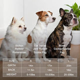 XPStitchPaw Dog Sweater for Large Dogs, Winter Fleece Outfit with Easy Belly Opening & Round Butt Design, British Style Collar Pet Clothes for Christmas Daily Wear, Warm Soft Sweatshirt (L)