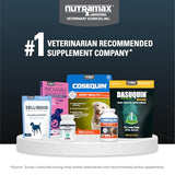Nutramax Dasuquin for Large Dogs, Joint Health Supplement, Contains Glucosamine for Dogs, Plus Chondroitin, ASU and More, Supports Healthy Joints, Soft Chews, 150 Count