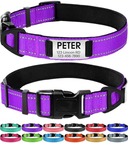 Joytale Personalized Dog Collars, Reflective Nylon Collar with Engraved Name Plate, Customized for Large Dogs, Purple, L