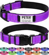 Joytale Personalized Dog Collars, Reflective Nylon Collar with Engraved Name Plate, Customized for Large Dogs, Purple, L