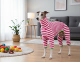 Whalemire Italian Greyhound Onesie Clothes, Cotton Striped Four-Leg Dog Jumpsuit for Whippet & Italian Greyhound, Soft Breathable Stretch Pajamas (Pink, S (6-9 lbs))
