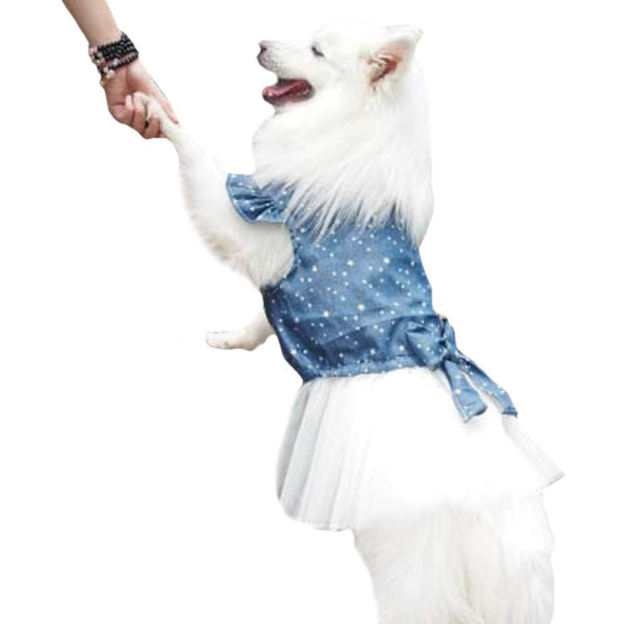 Polka Dot Big Large Dog Princess Dress Tutu Skirt Golden Retriever Pitbull Summer Dog Clothes Hoodie Costume (XL, Blue)
