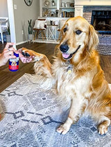 Vetericyn Plus Hot Spot Spray for Dogs Skin Sores and Irritations | Itch Relief for Dogs and Prevents Chewing and Licking at Skin, Safe for All Animals. 8 Ounces